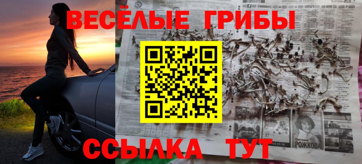 Видное  Псилоцибиновые грибы Psilocybe  даркнет сайт  Вход с VPN 